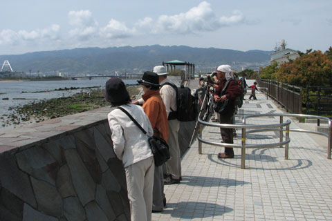 甲子園浜自然環境センター